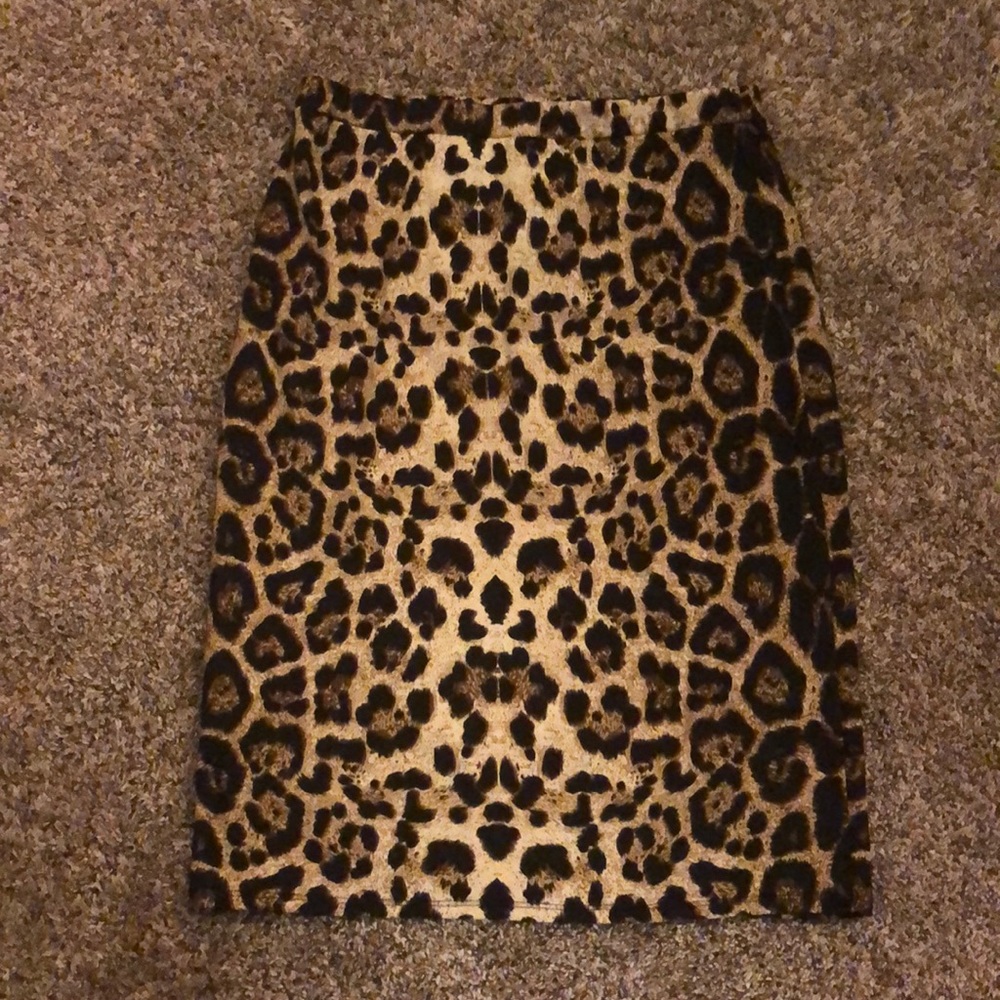 Ladies dress skirt